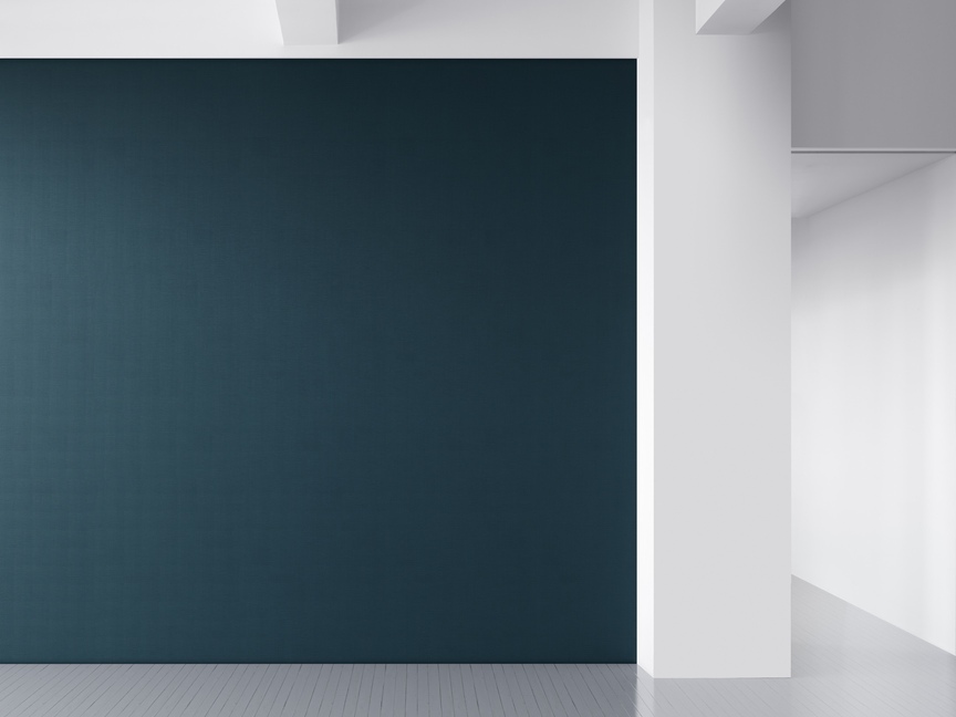 Install image of Clause 016 Elderberry