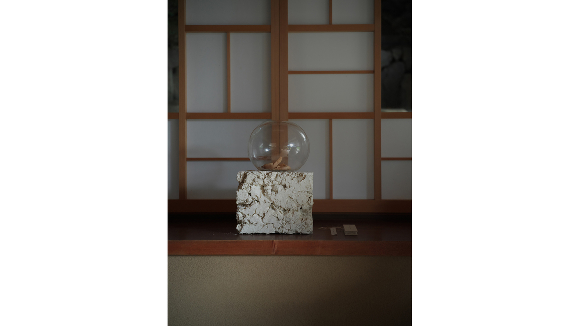 Installation at Komyo-in Temple Photography courtesy Sari Sui.