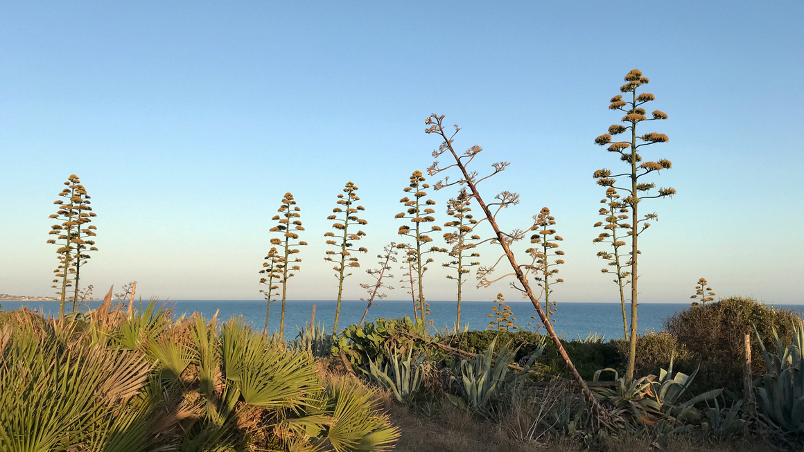 Sicily. Photograph courtesy of Robert Stadler.